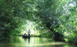 Le Marais Poitevin, une destination de choix pour des vacances en pleine nature